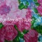 1950s washbag print